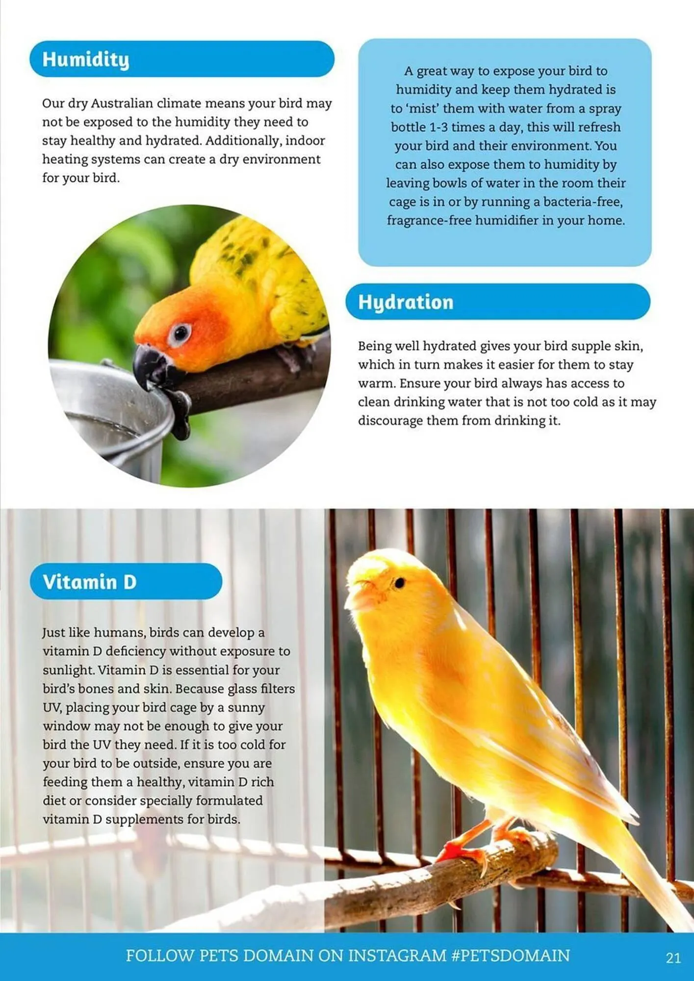 Pets Domain catalogue - Catalogue valid from 1 July to 30 September 2025 - page 21