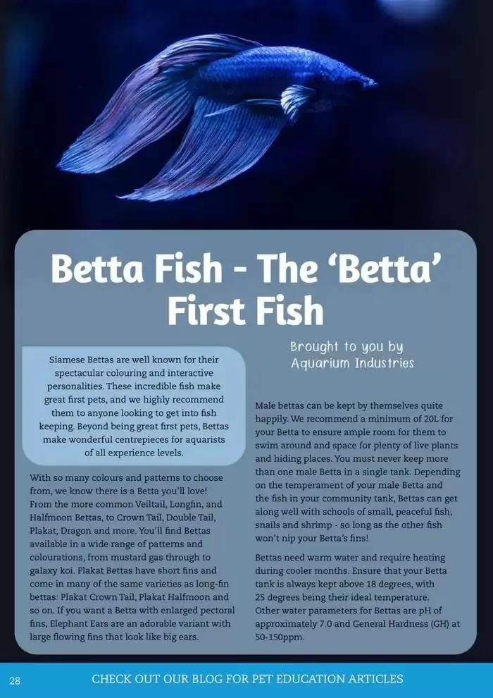 April - June 2025 - Catalogue valid from 1 April to 30 June 2025 - page 20