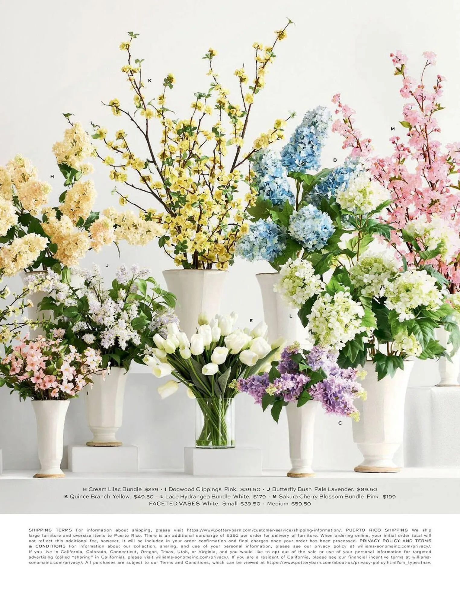 Pottery Barn catalogue - Catalogue valid from 15 December to 31 May 2026 - page 83