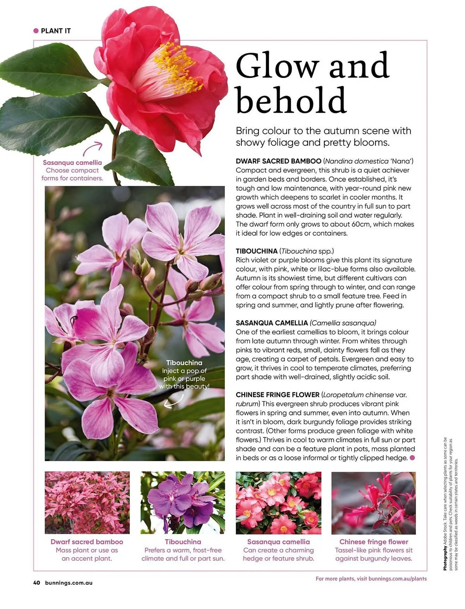 Bunnings catalogue - Catalogue valid from 1 April to 30 April 2026 - page 40