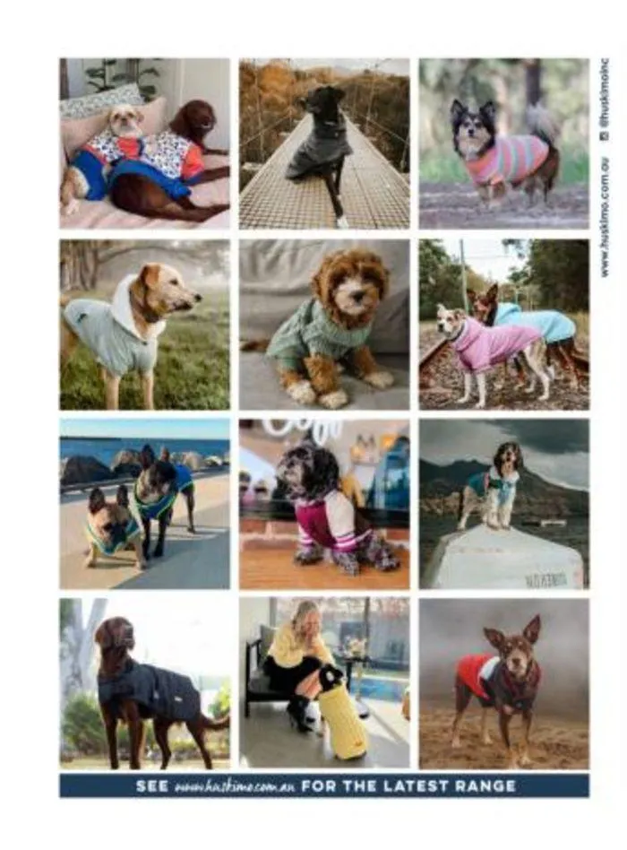 Dog Catalogue 2024 - Catalogue valid from 4 January to 31 December 2024 - page 85