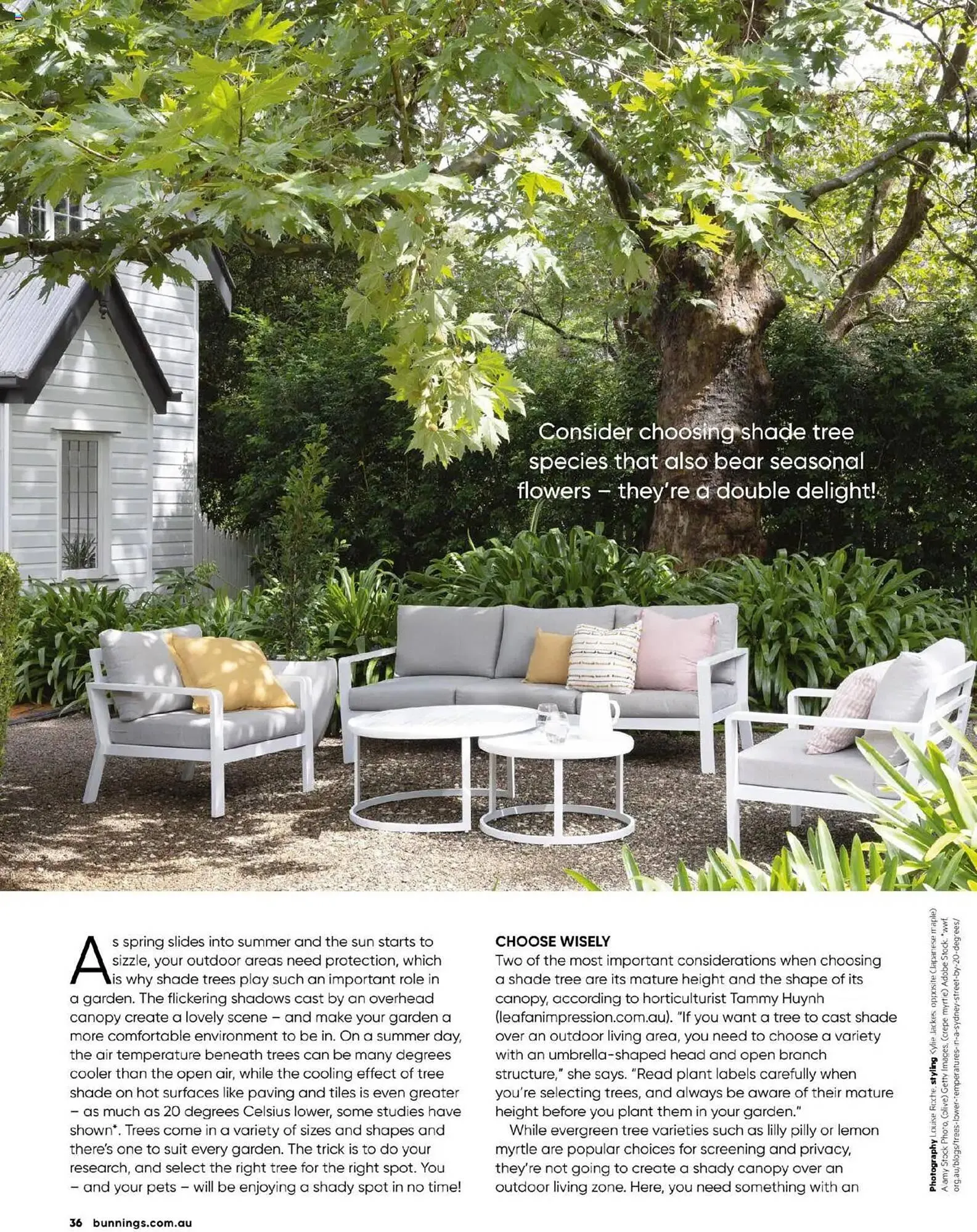 Bunnings catalogue - Catalogue valid from 30 September to 31 October 2025 - page 36