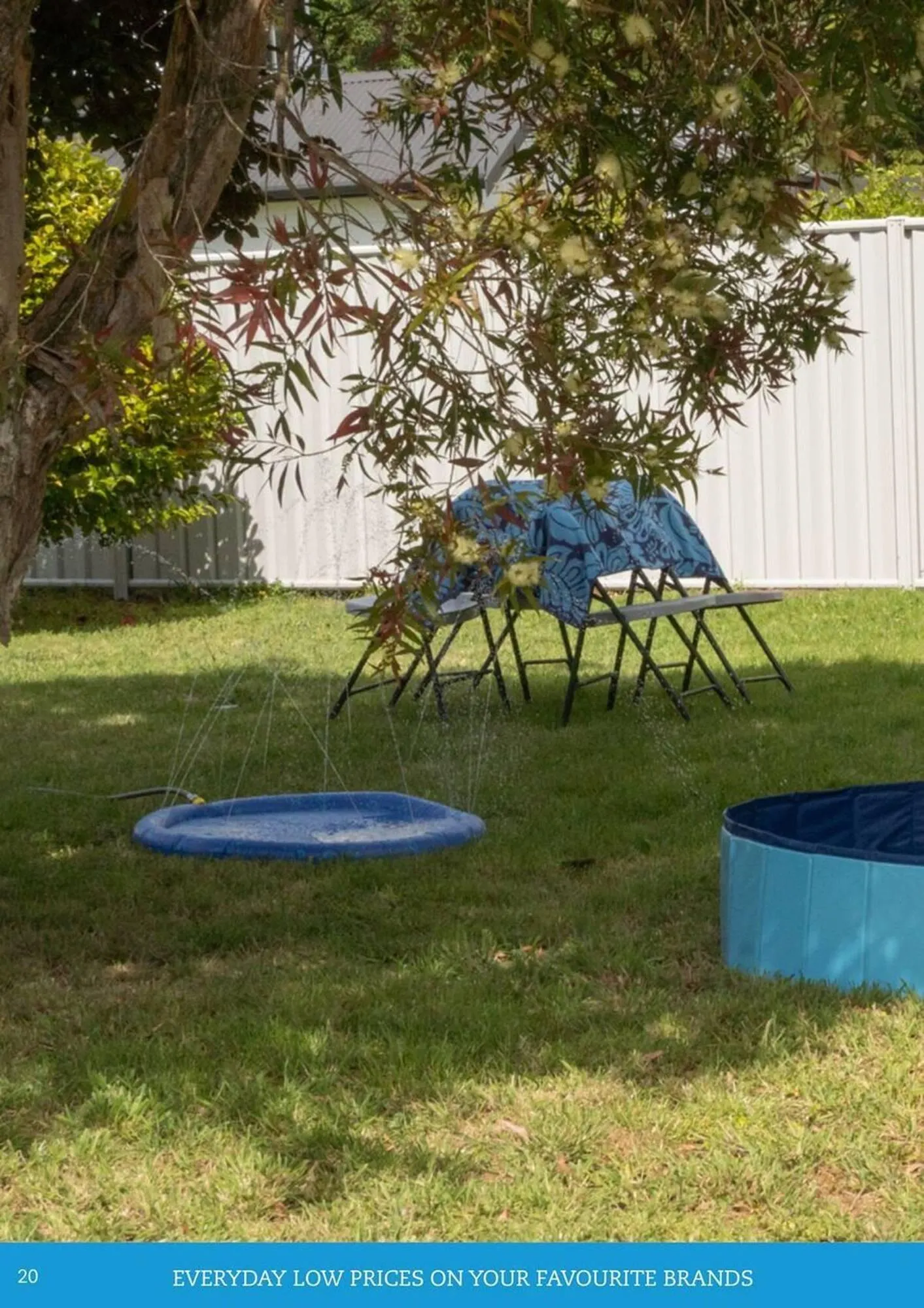 Pets Domain catalogue - Catalogue valid from 1 January to 31 March 2026 - page 20