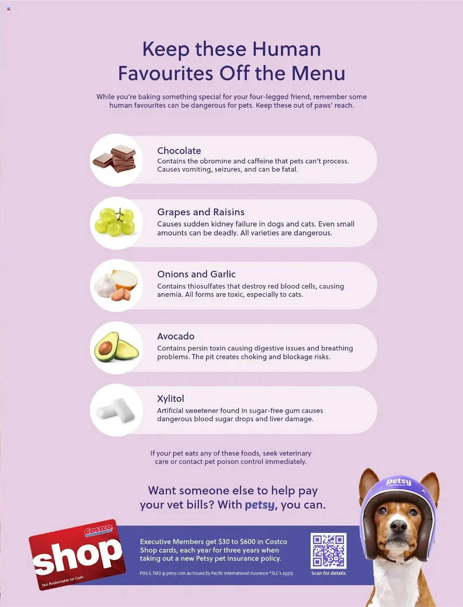 Costco catalogue - Catalogue valid from 31 October to 31 December 2025 - page 117