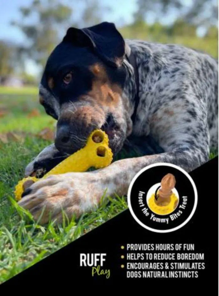 Dog Catalogue 2024 - Catalogue valid from 4 January to 31 December 2024 - page 99