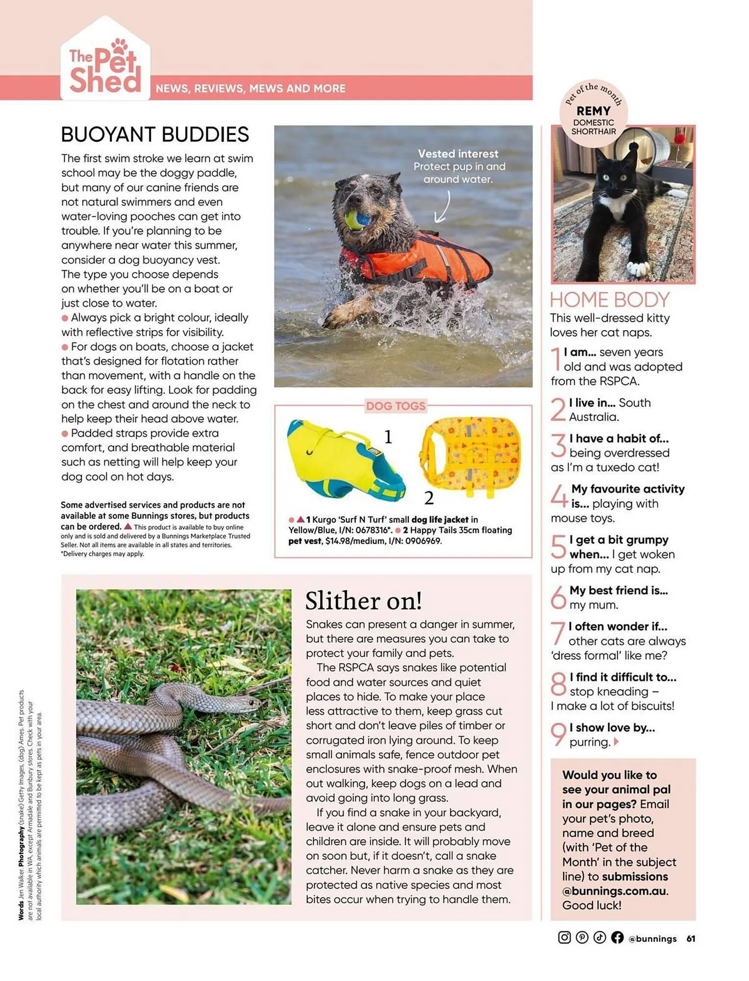 Bunnings catalogue - Catalogue valid from 1 January to 31 January 2026 - page 61