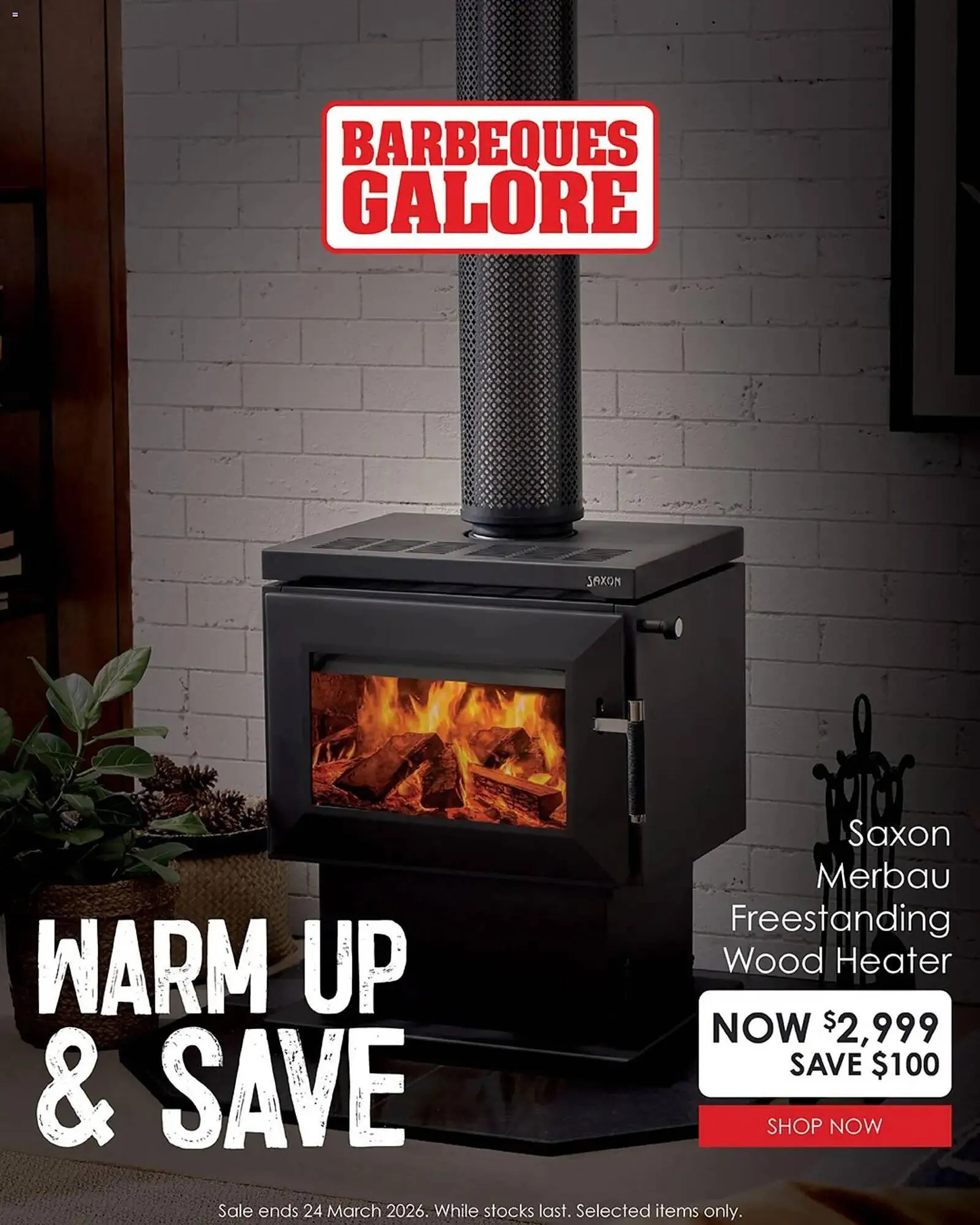 Barbeques Galore catalogue - Catalogue valid from 16 March to 24 March 2026 - page 4