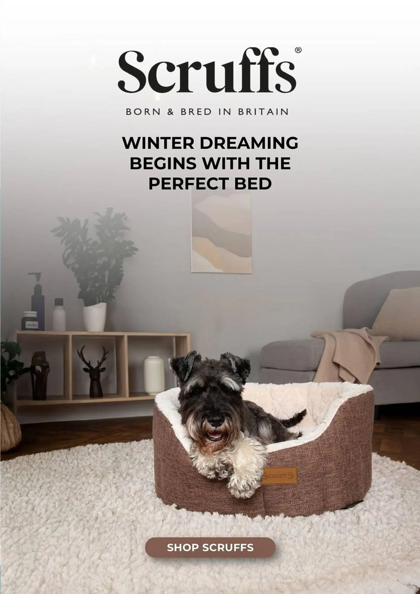 Pets Domain catalogue - Catalogue valid from 1 July to 30 September 2025 - page 15