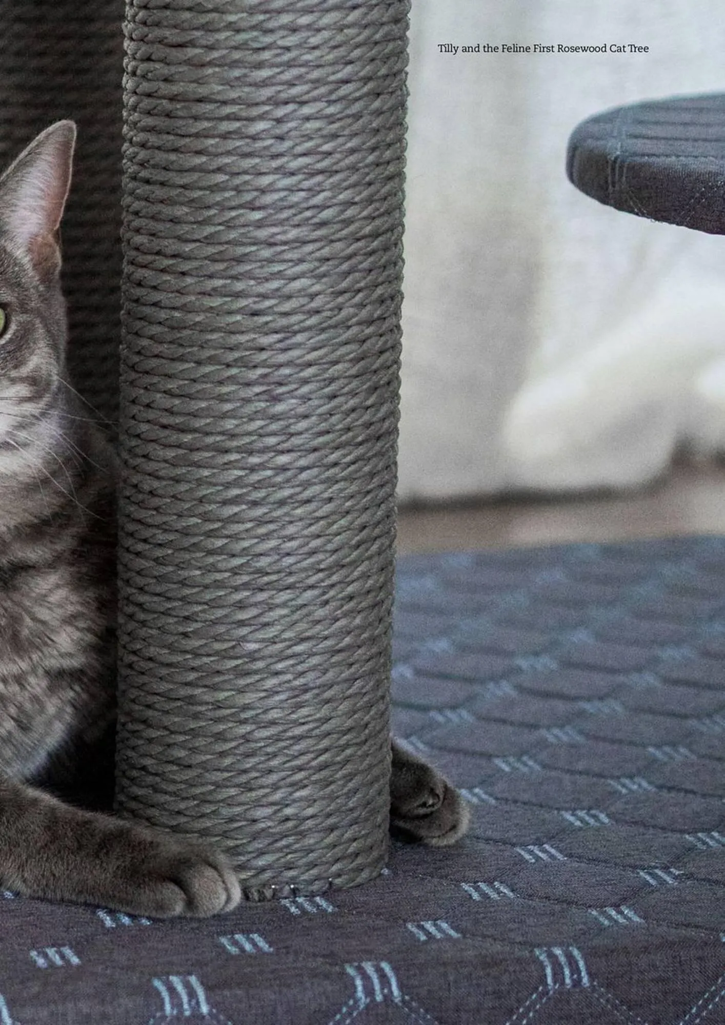 Pets Domain catalogue - Catalogue valid from 1 April to 30 June 2025 - page 7