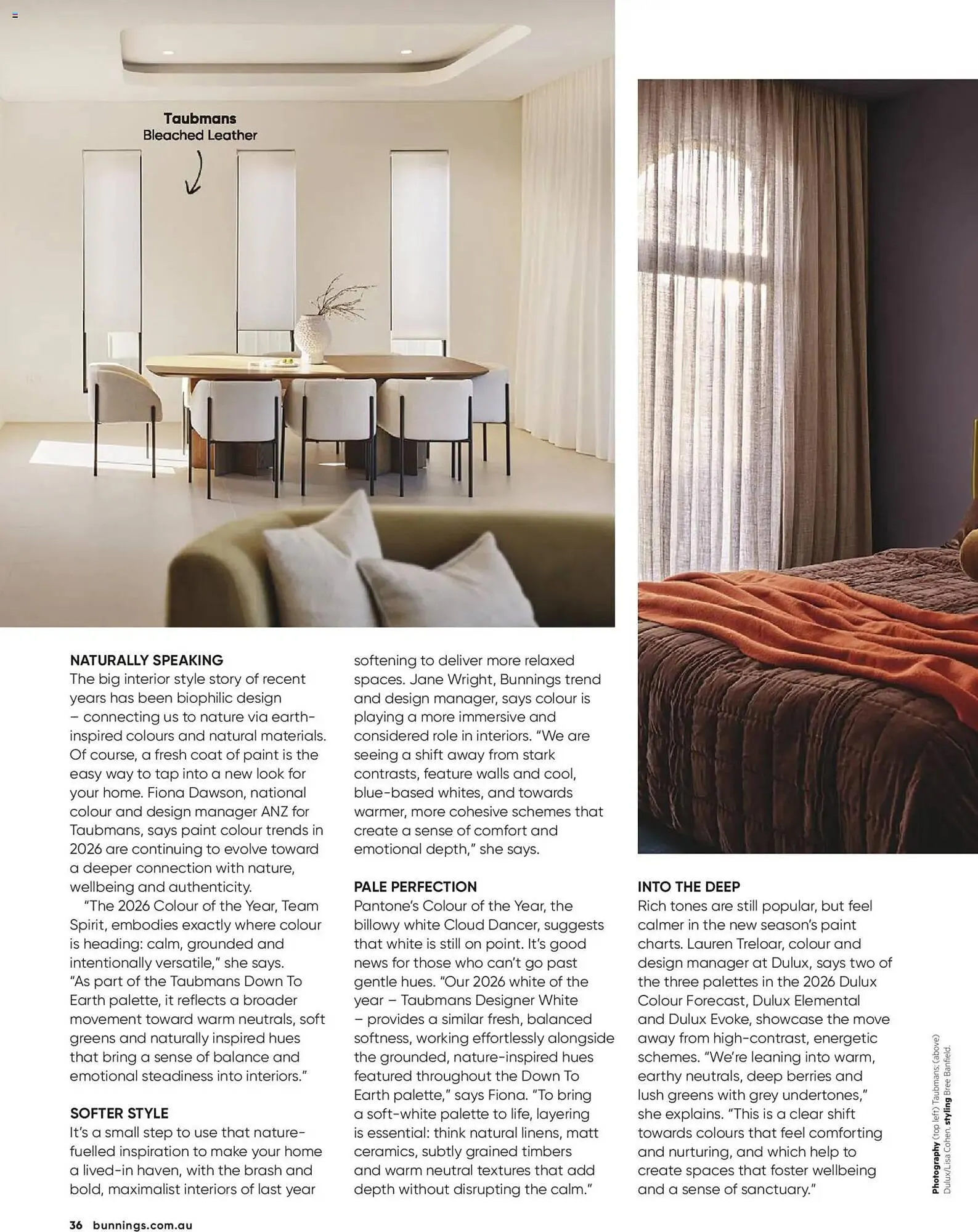 Bunnings catalogue - Catalogue valid from 28 February to 31 March 2026 - page 36