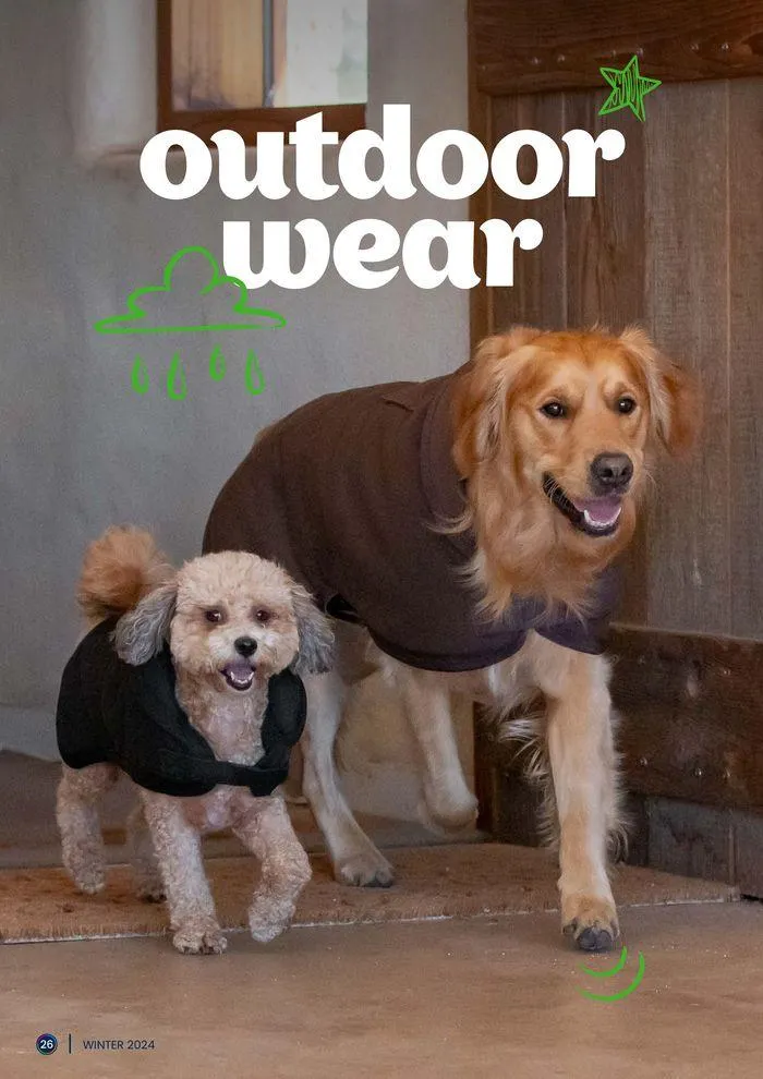 Winter 2024 - Catalogue valid from 15 April to 30 September 2024 - page 26