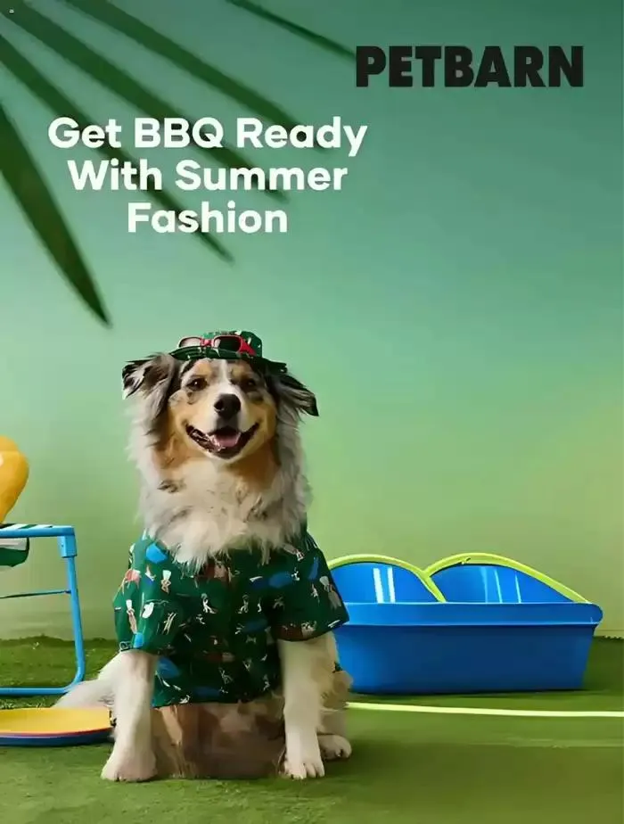 Get BBQ Ready With Sumer Fashion - 1