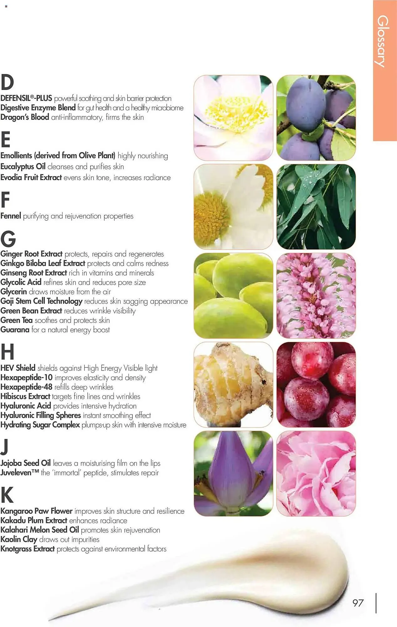 Nutrimetics catalogue - Catalogue valid from 31 December to 31 December 2026 - page 97