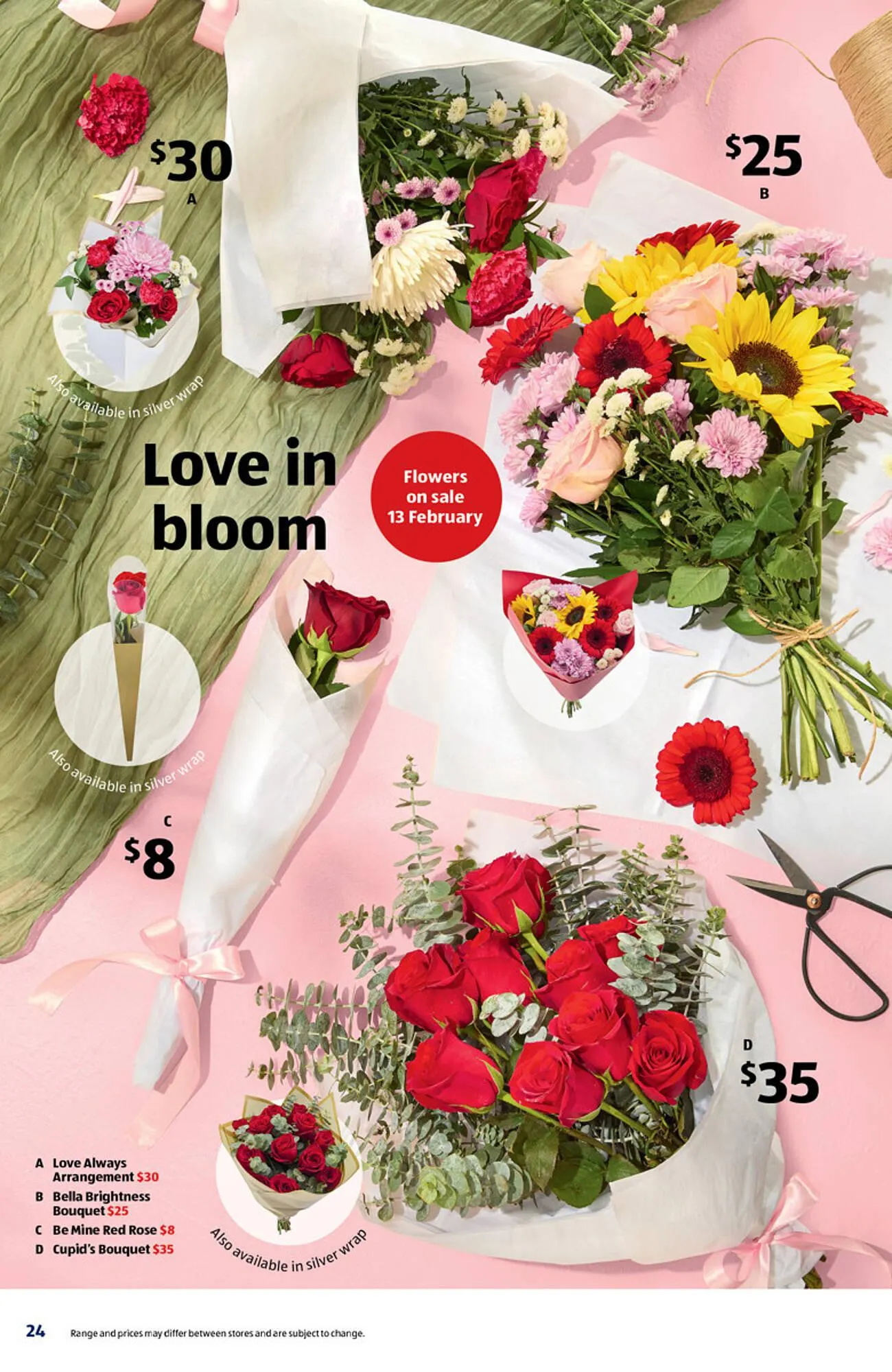 ALDI catalogue - Catalogue valid from 21 February to 27 February 2026 - page 24