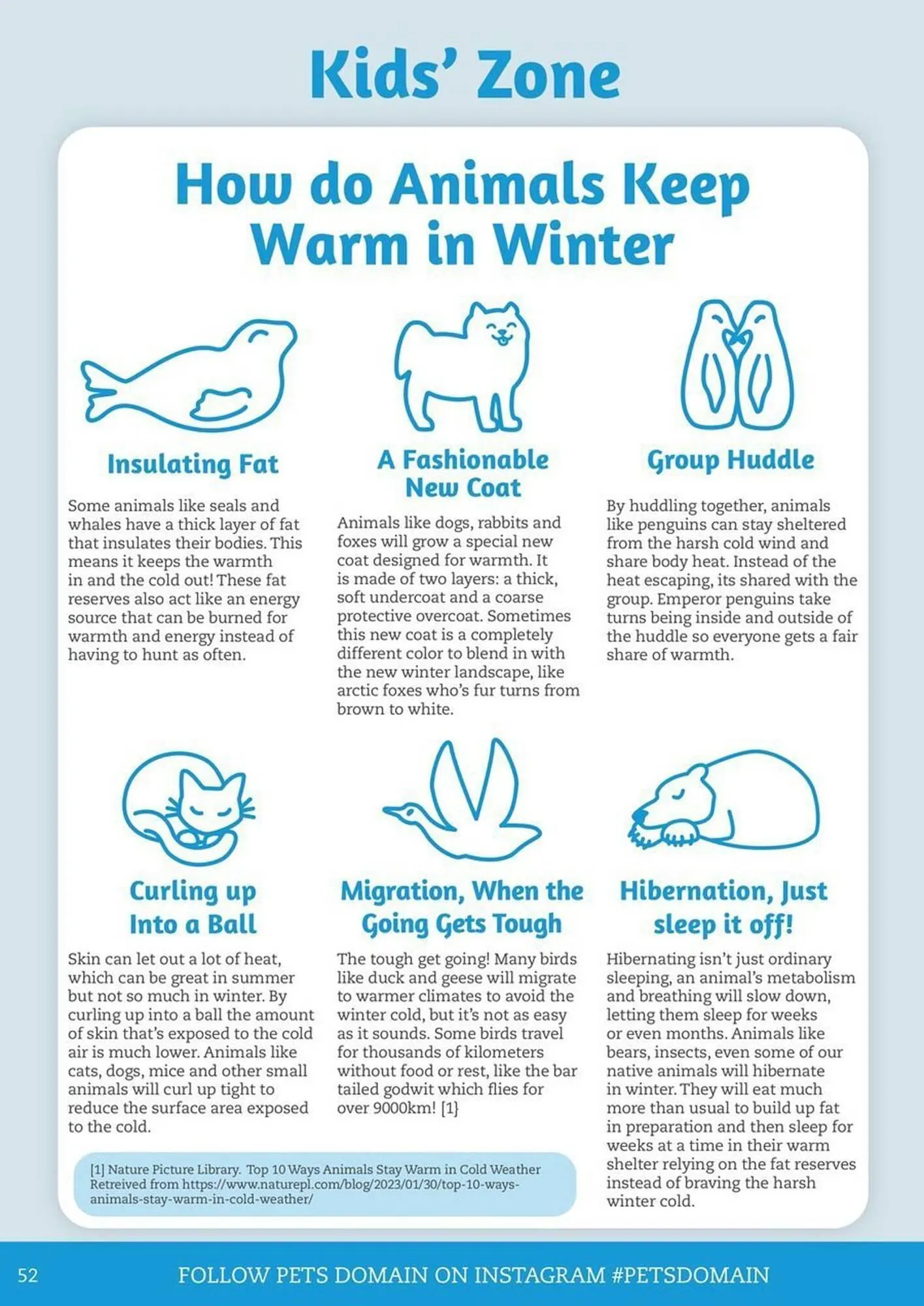 Pets Domain catalogue - Catalogue valid from 1 July to 30 September 2025 - page 52