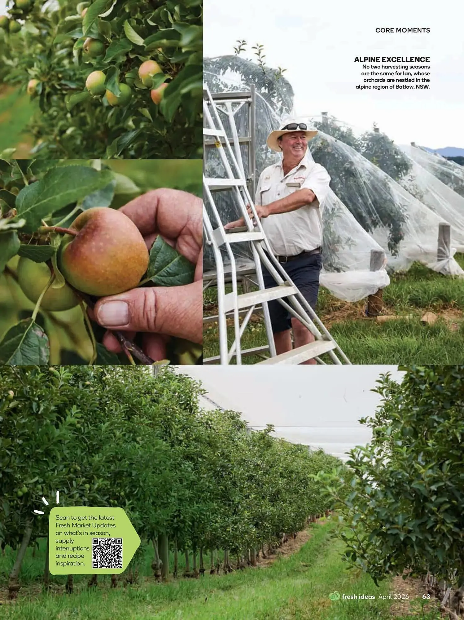 Woolworths catalogue - Catalogue valid from 31 March to 30 April 2026 - page 63