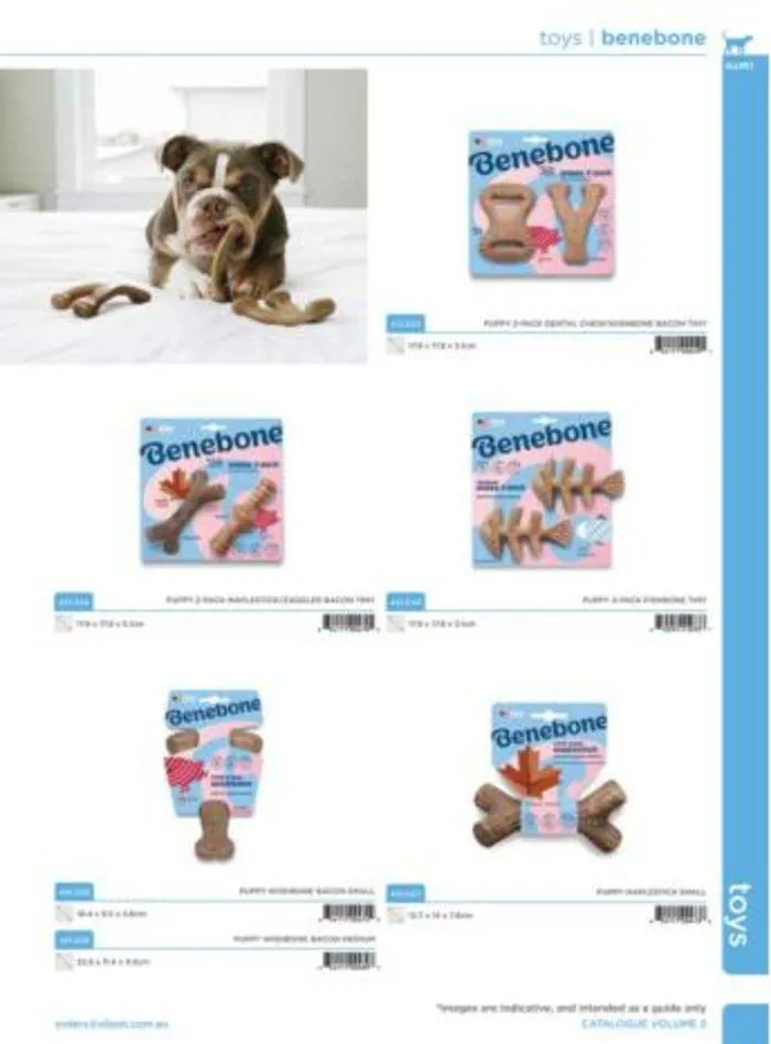 Dog Catalogue 2024 - Catalogue valid from 4 January to 31 December 2024 - page 89