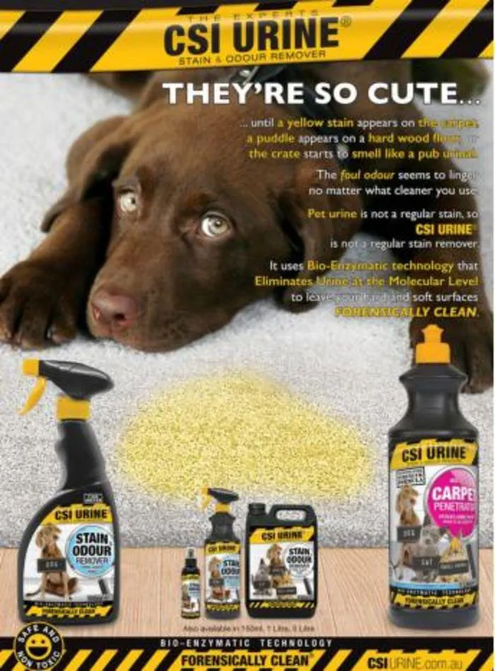 Dog Catalogue 2024 - Catalogue valid from 4 January to 28 February 2025 - page 250