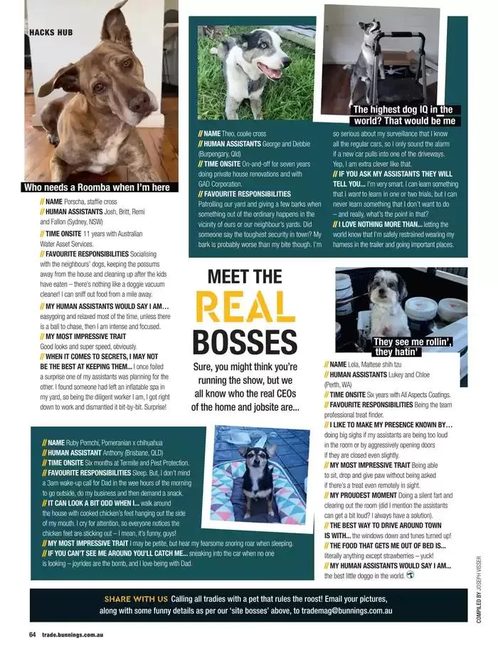 Trade Magazine February 2025 - Catalogue valid from 1 February to 28 February 2025 - page 64