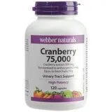 Webber Naturals Cranberry Extract 500mg 120 Capsule