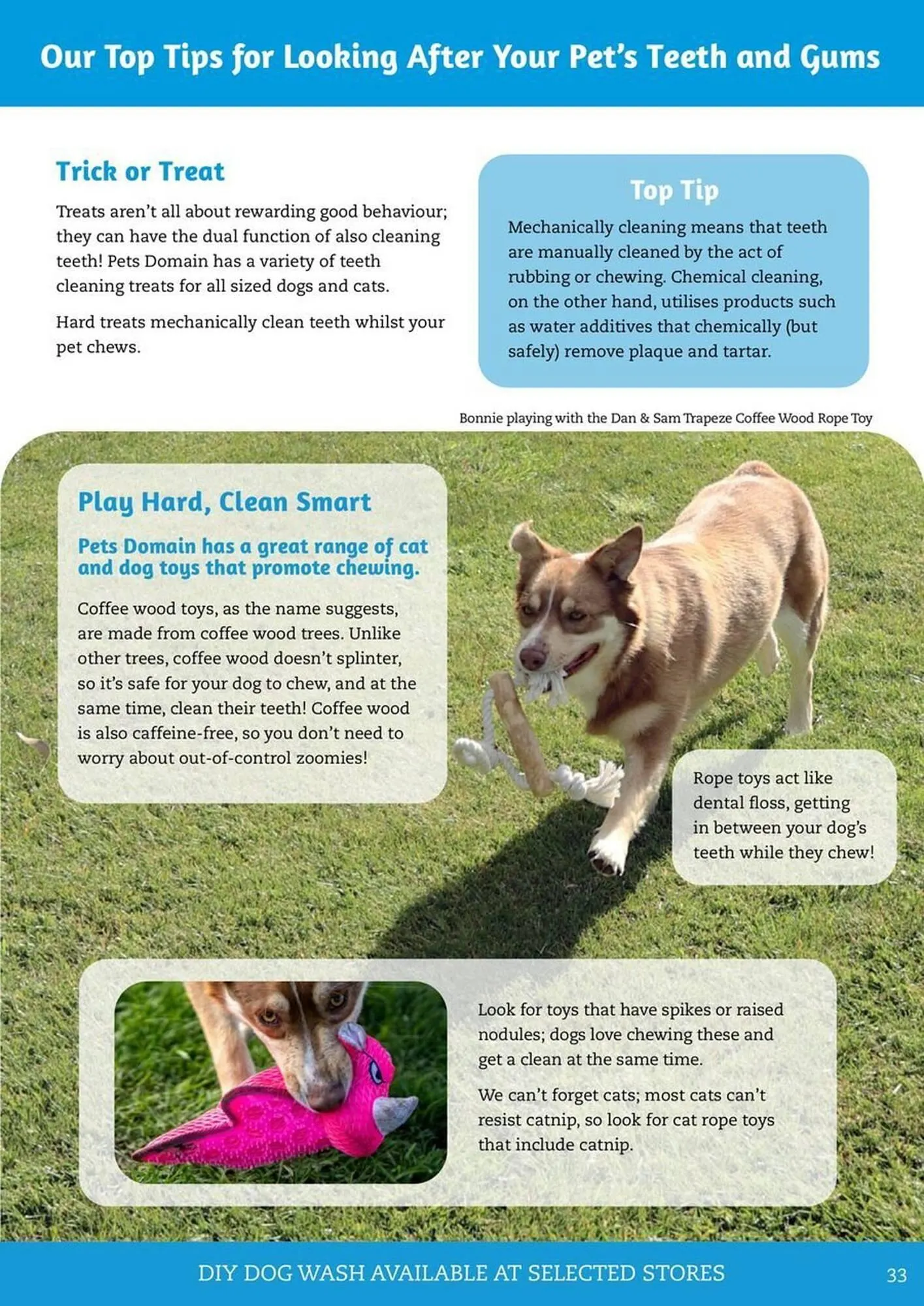 Pets Domain catalogue - Catalogue valid from 1 July to 30 September 2025 - page 33