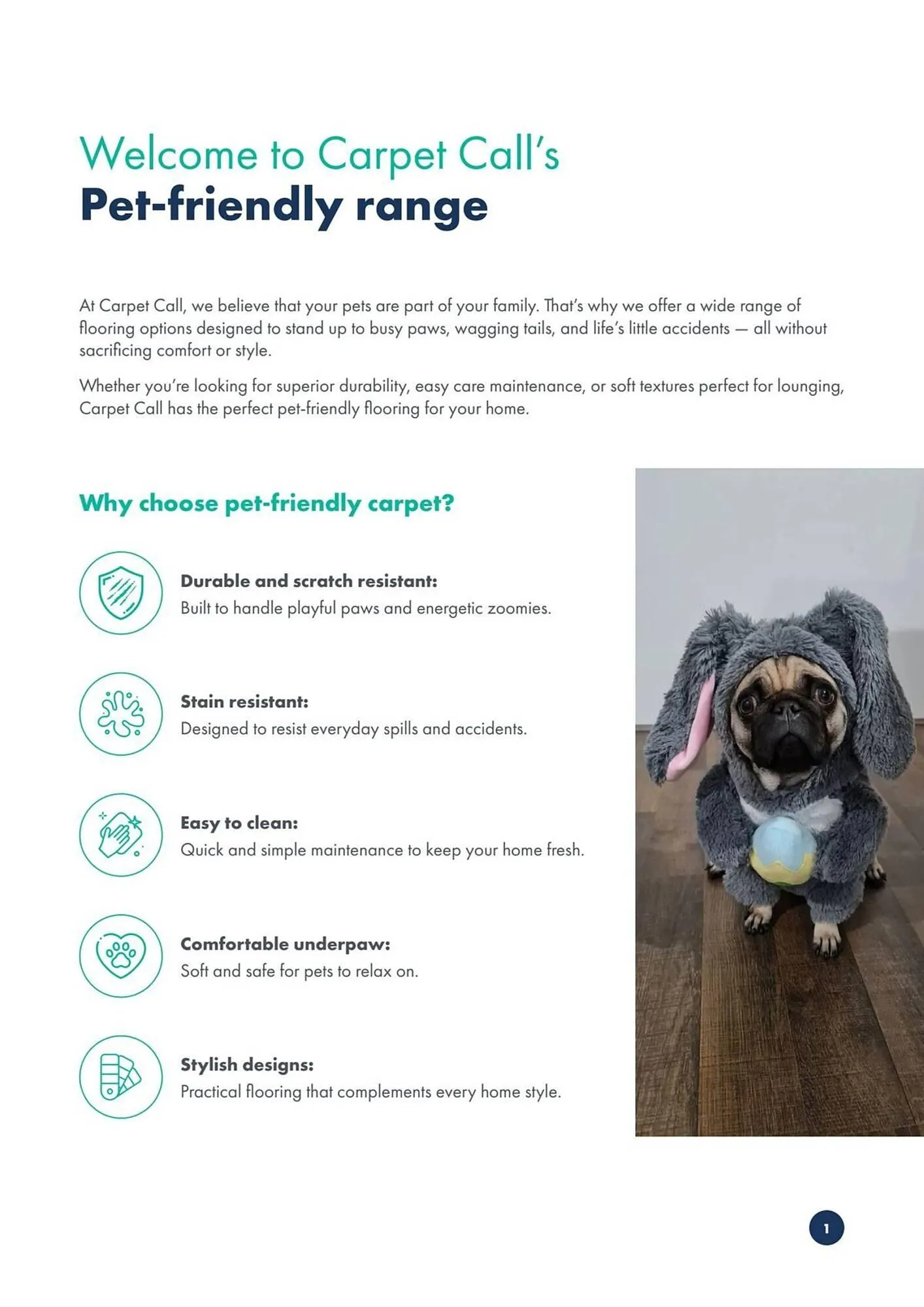 Carpet Call catalogue - Catalogue valid from 27 November to 31 December 2025 - page 2