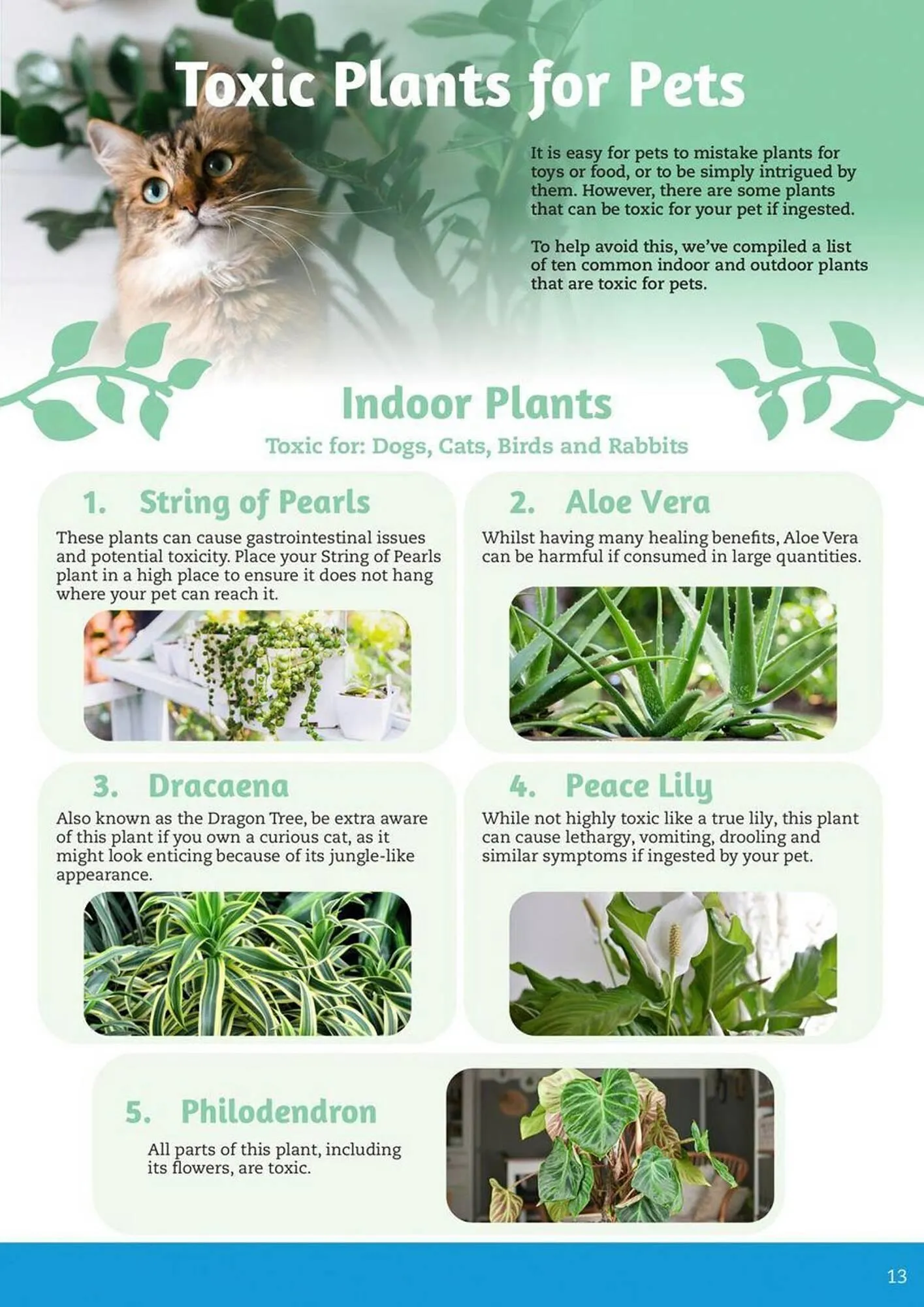 Pets Domain catalogue - Catalogue valid from 2 October to 31 December 2025 - page 13