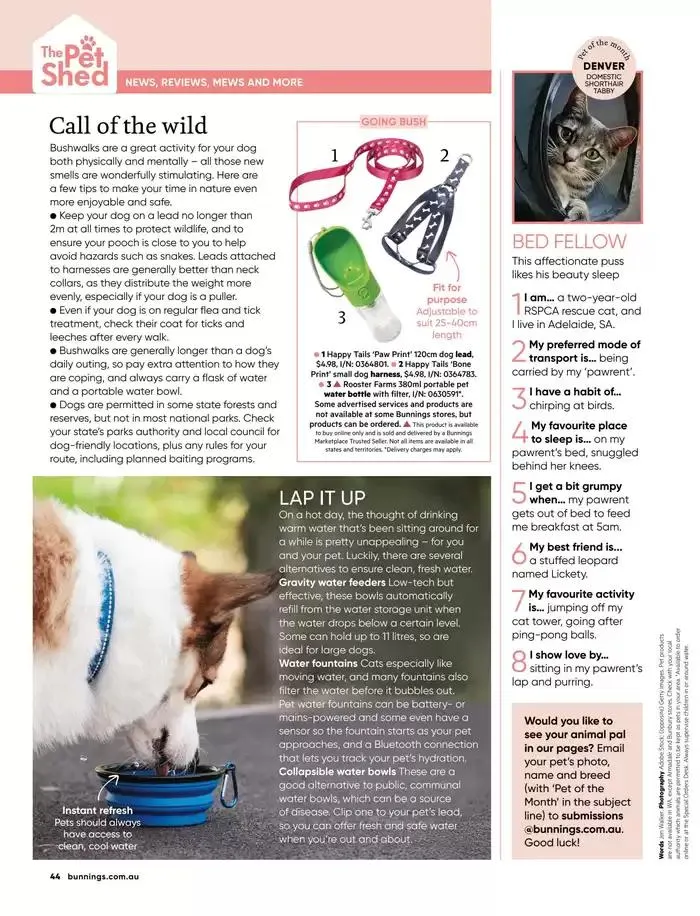 January 2025 - Catalogue valid from 1 January to 31 January 2025 - page 38