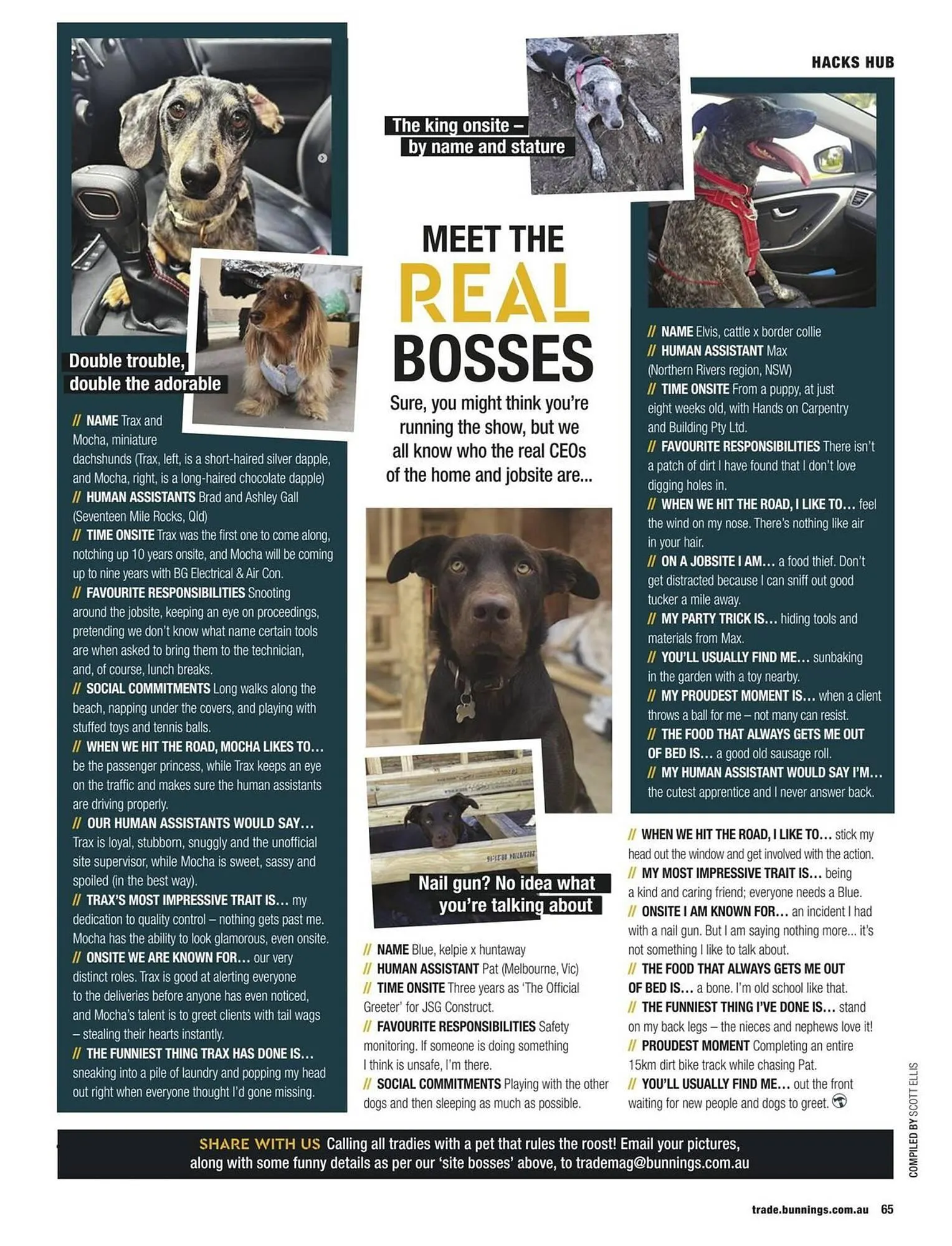 Bunnings catalogue - Catalogue valid from 1 February to 28 February 2026 - page 65