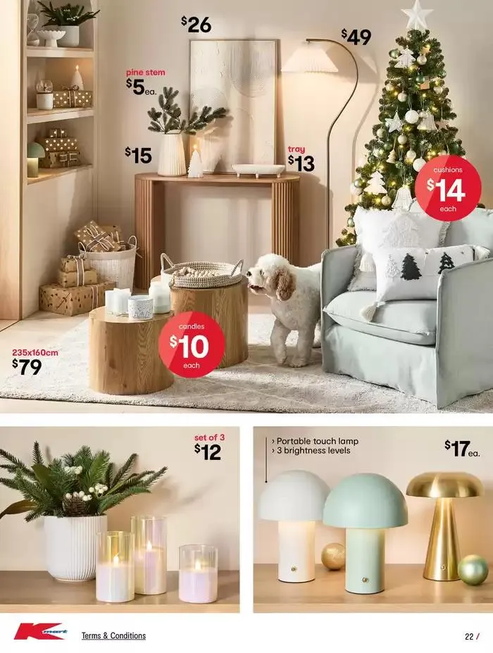 XMAS TRENDS - Low prices for life - Catalogue valid from 28 November to 18 December 2024 - page 22
