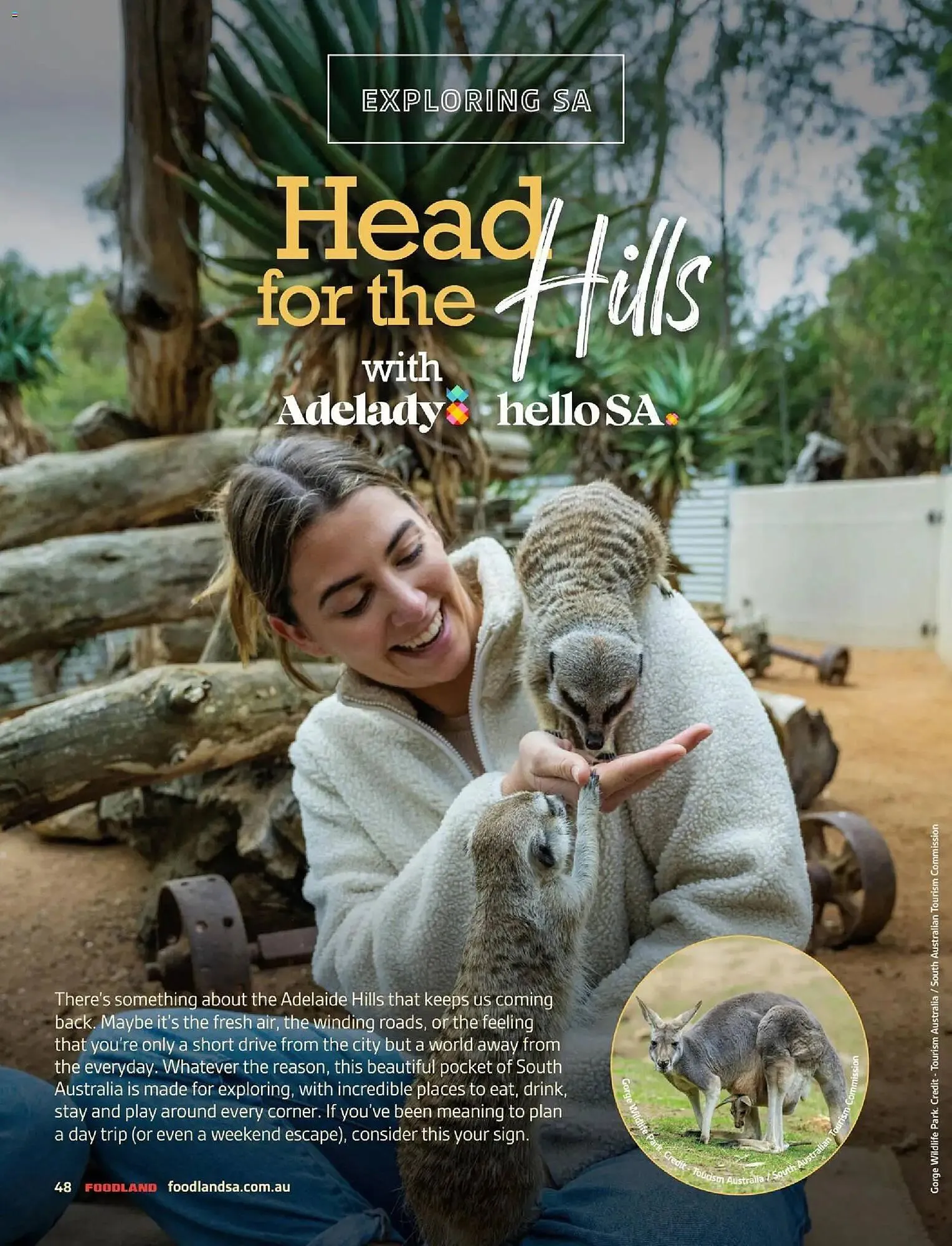 Foodland catalogue - Catalogue valid from 5 March to 5 June 2026 - page 48