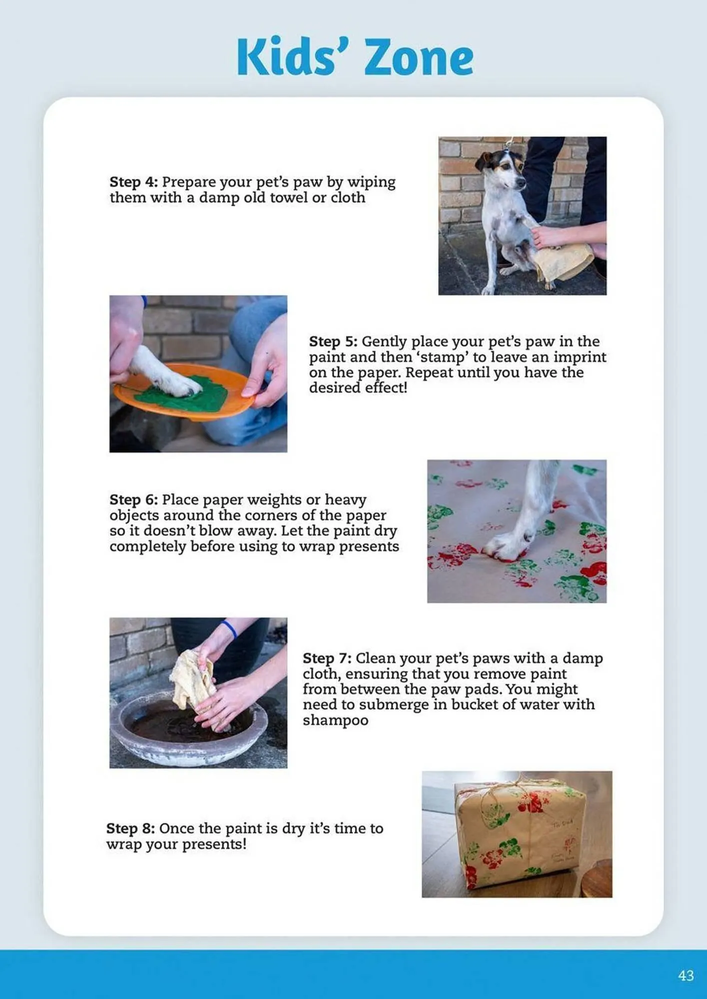 Pets Domain catalogue - Catalogue valid from 2 October to 31 December 2025 - page 43