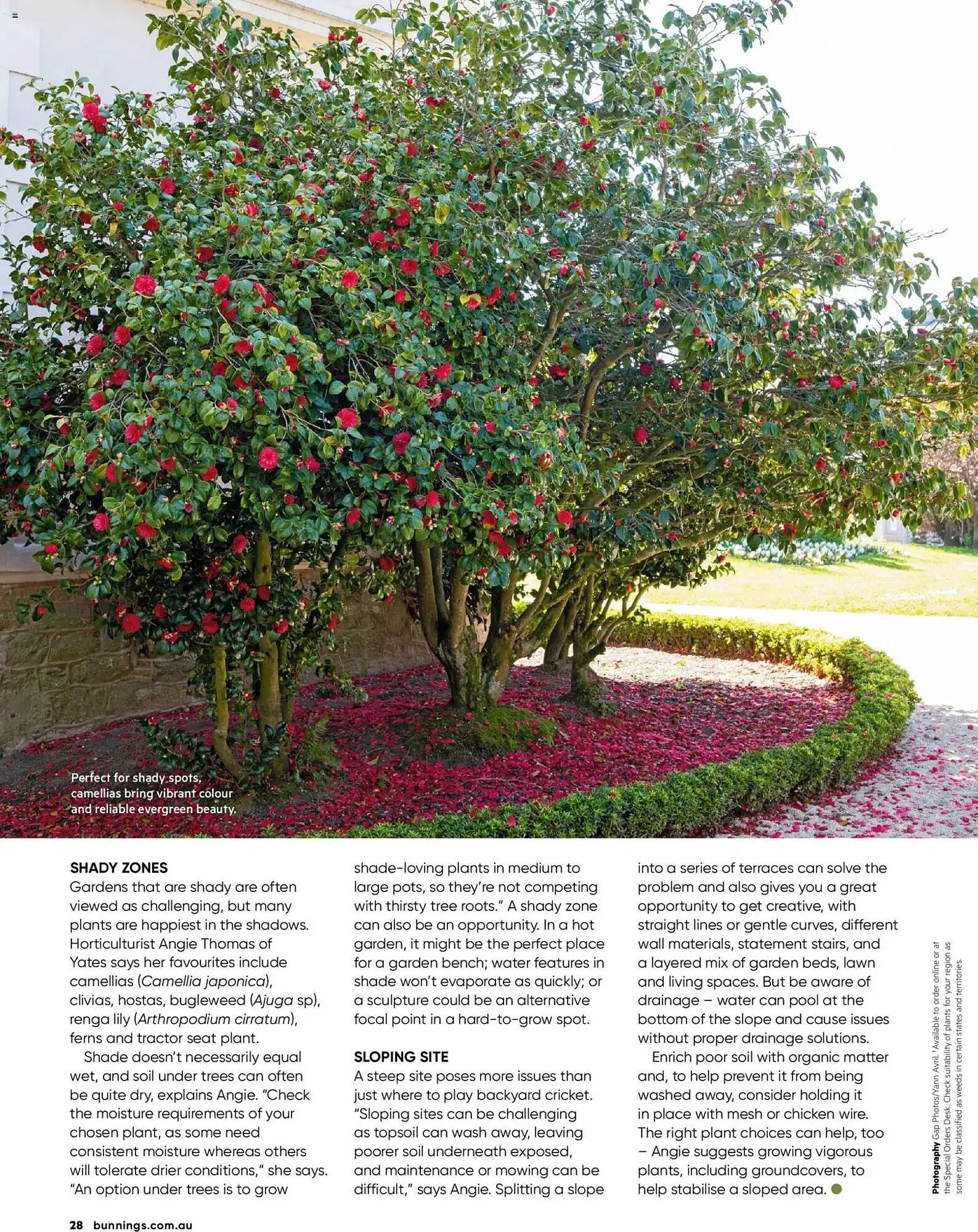 Bunnings catalogue - Catalogue valid from 31 January to 28 February 2026 - page 28