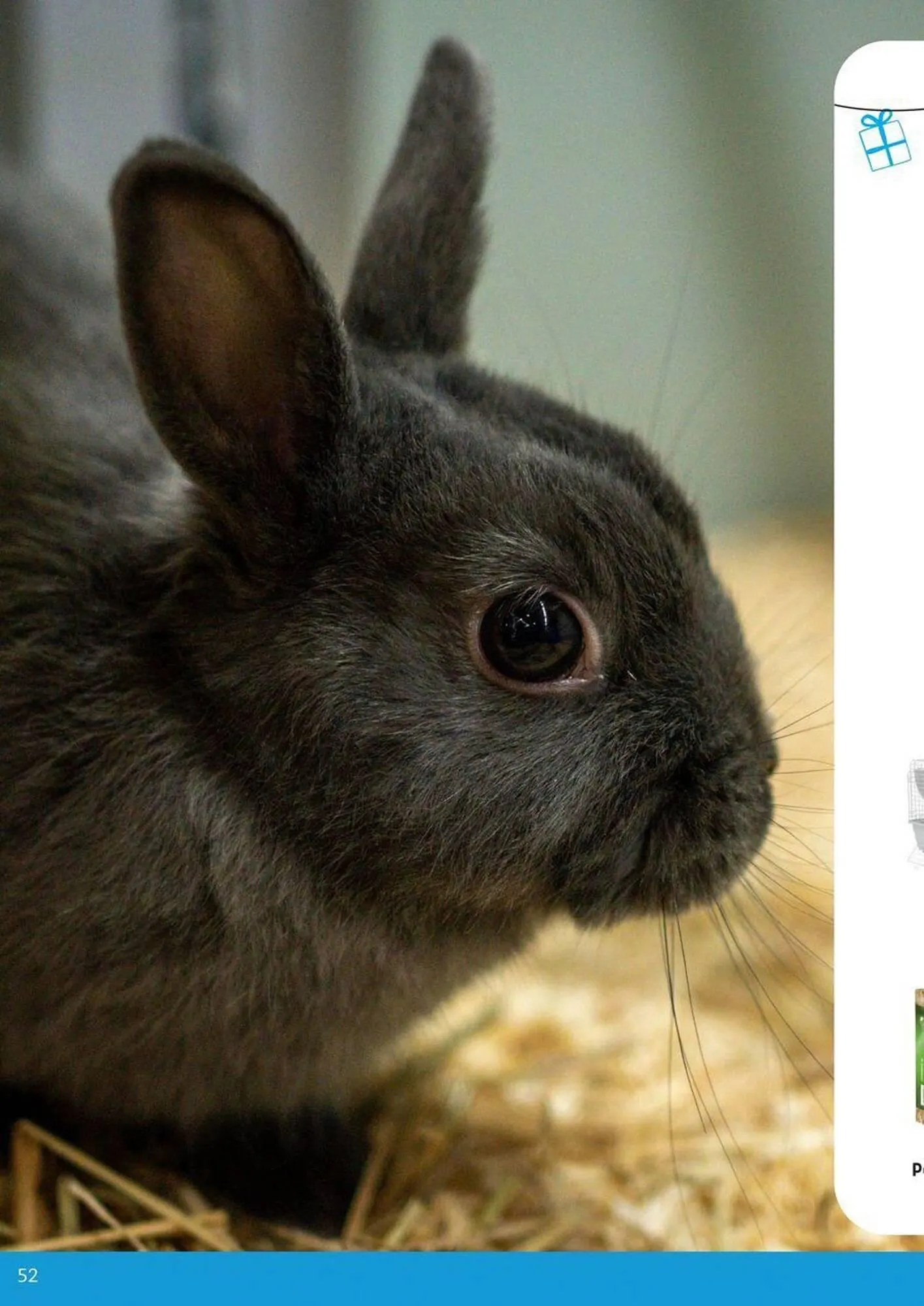 Pets Domain catalogue - Catalogue valid from 2 October to 31 December 2025 - page 52