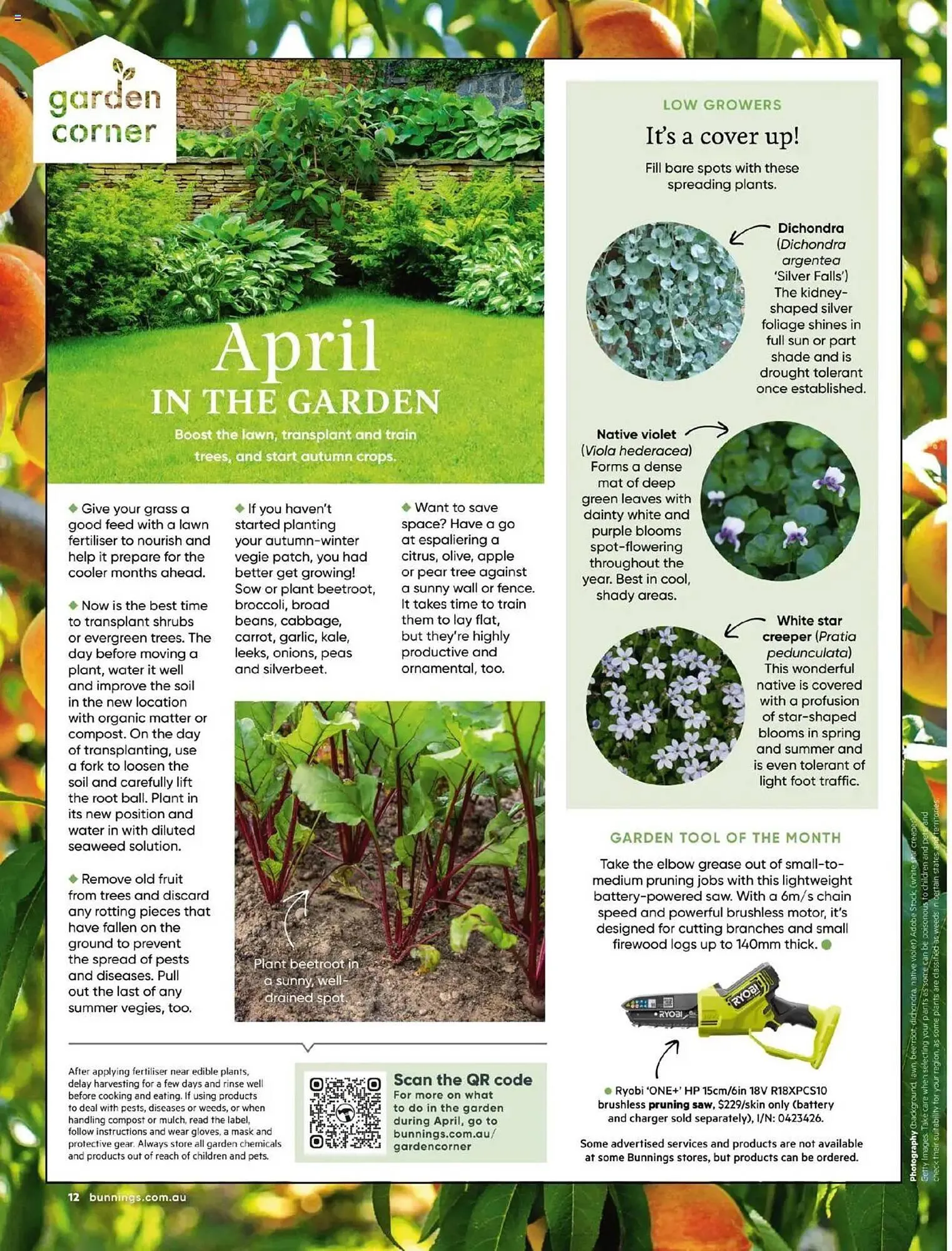 Bunnings catalogue - Catalogue valid from 1 April to 30 April 2025 - page 12