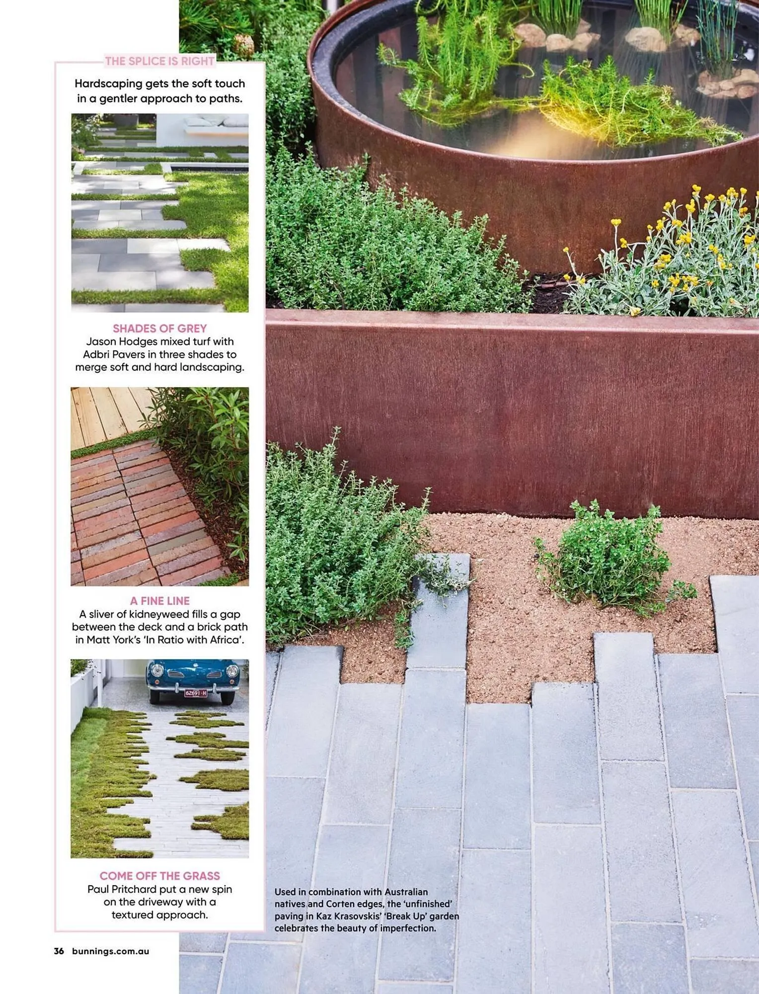 Bunnings catalogue - Catalogue valid from 1 August to 31 August 2025 - page 36