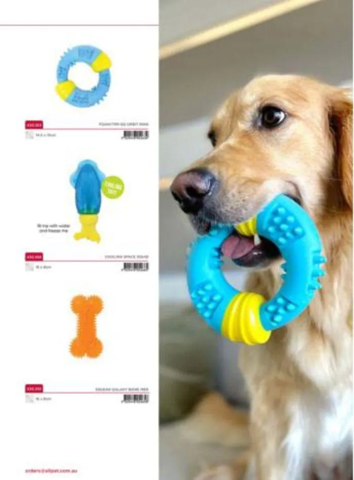 Dog Catalogue 2024 - Catalogue valid from 4 January to 31 December 2024 - page 101