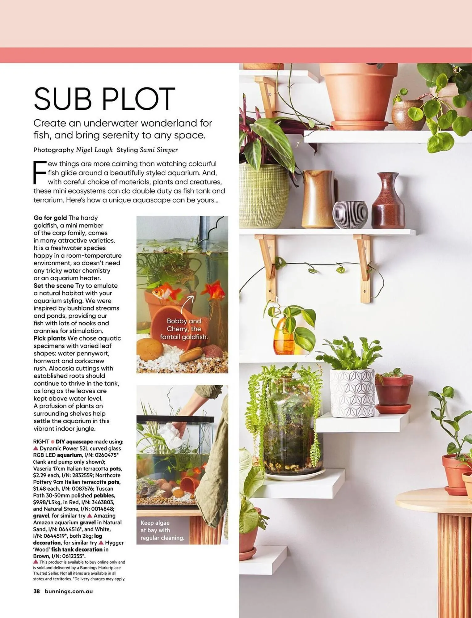 Bunnings catalogue - Catalogue valid from 1 July to 31 July 2025 - page 38