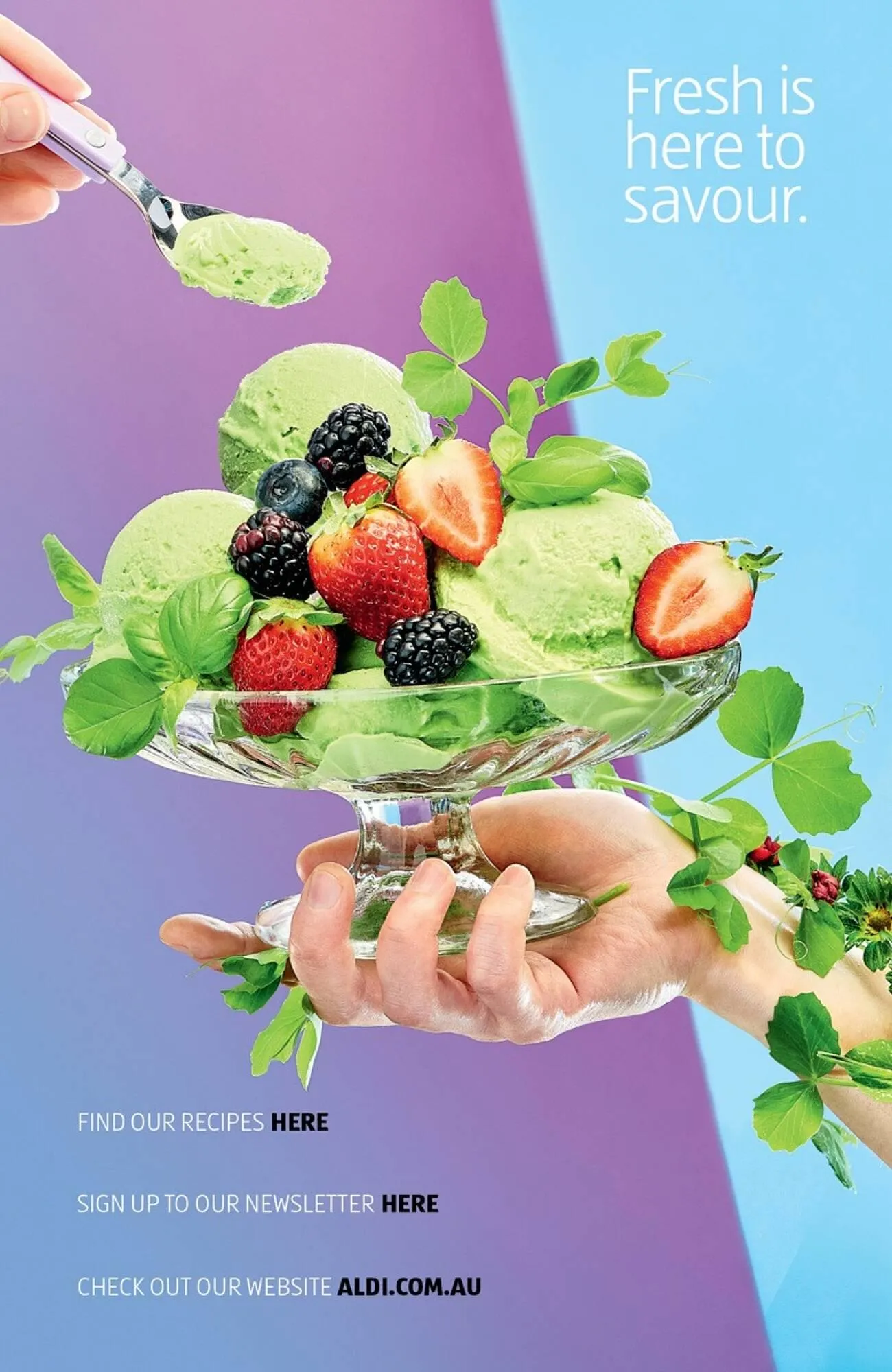 ALDI catalogue - Catalogue valid from 17 September to 25 December 2025 - page 14