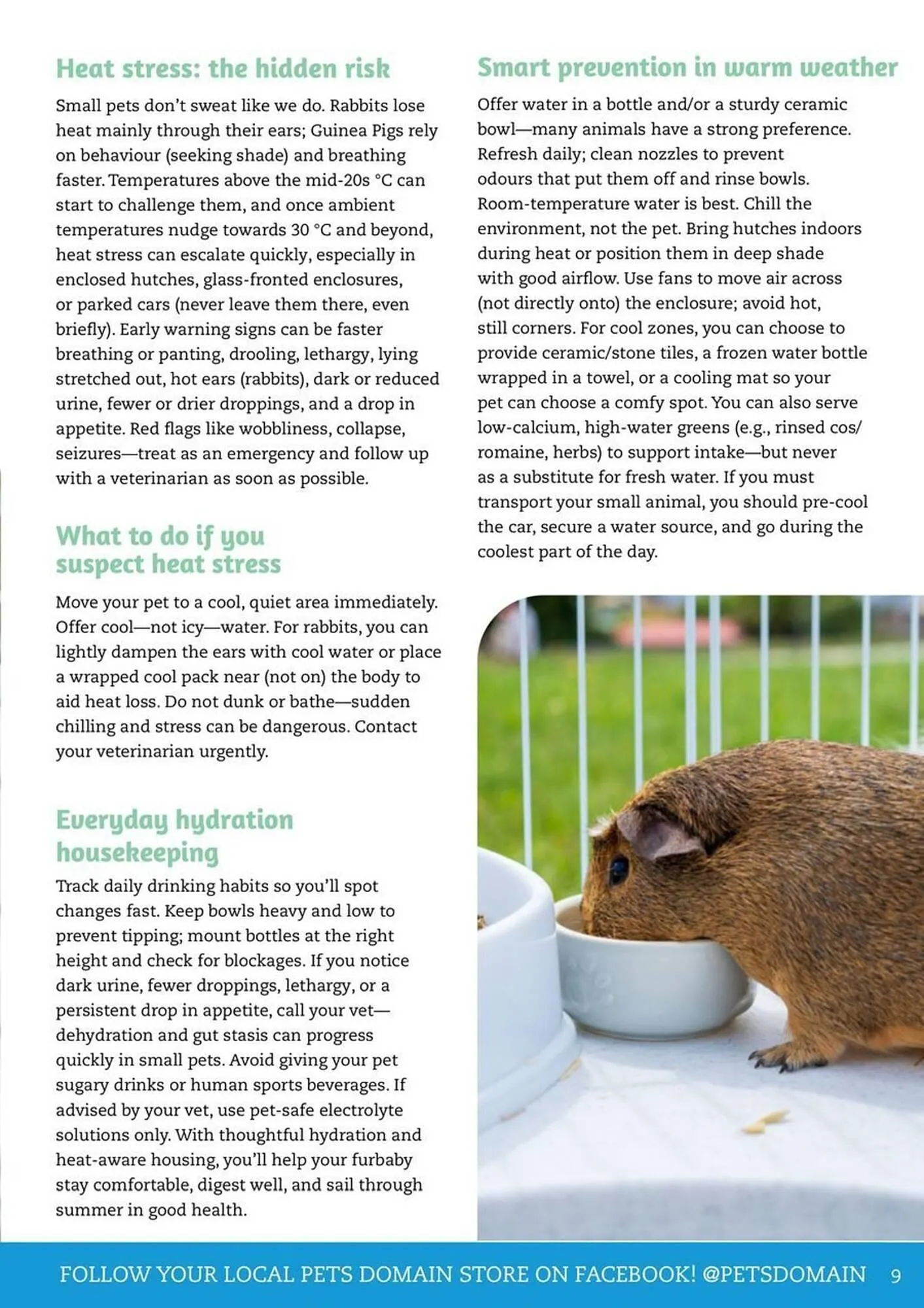 Pets Domain catalogue - Catalogue valid from 1 January to 31 March 2026 - page 9