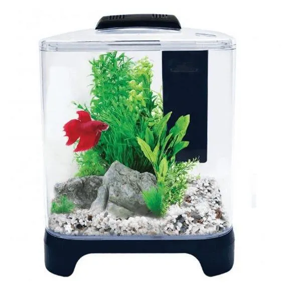 AO Betta Haven Aquarium Acrylic 7L
