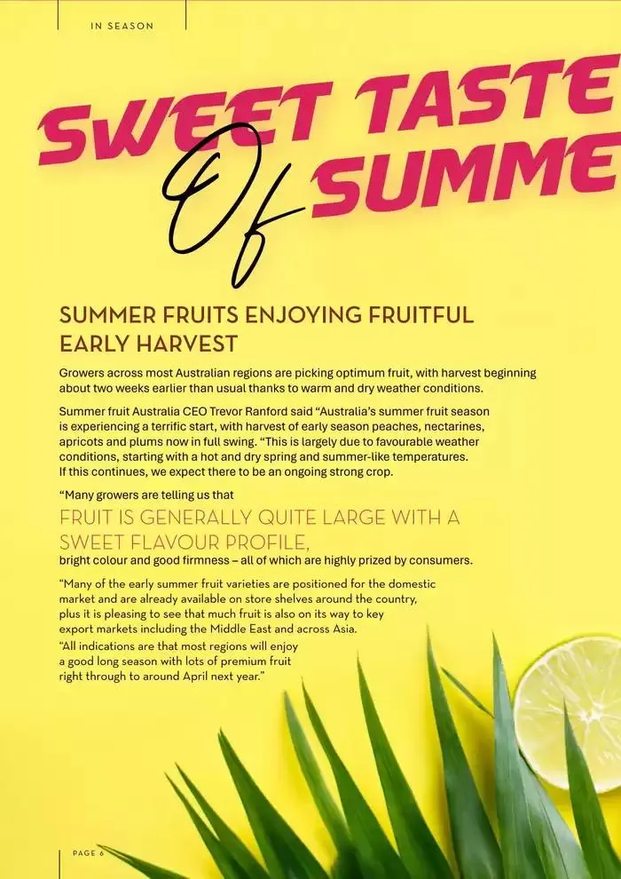 Christmas Issue - Catalogue valid from 21 November to 24 December 2024 - page 6