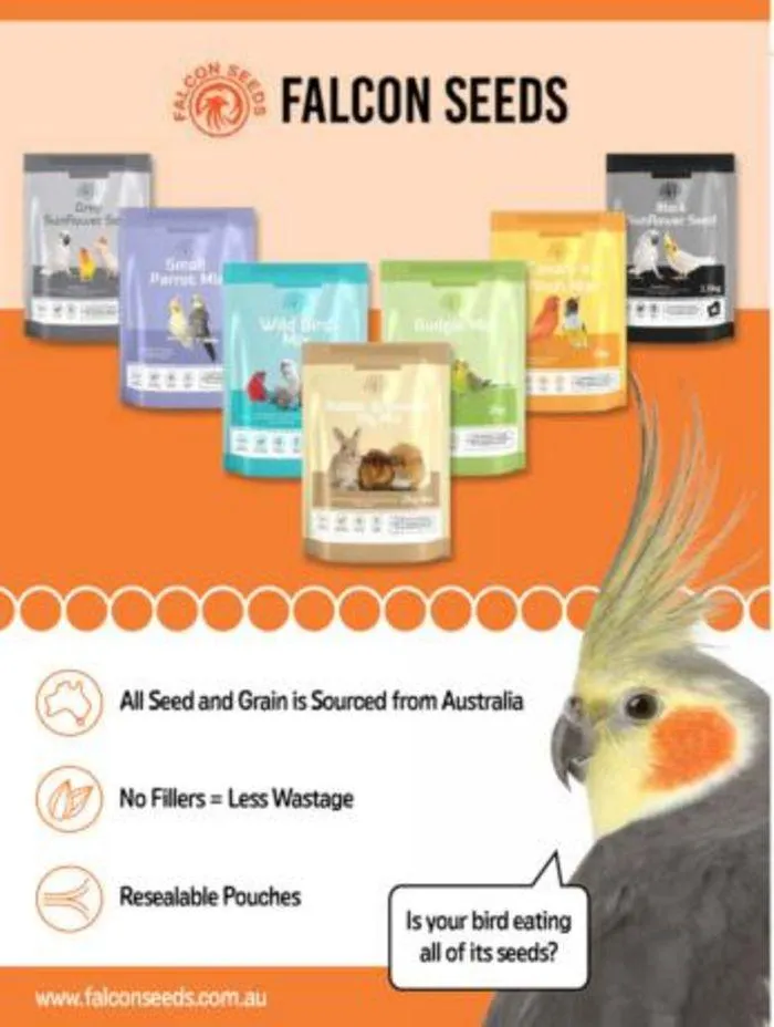 Bird Catalogue 2024 - Catalogue valid from 4 January to 28 February 2025 - page 18