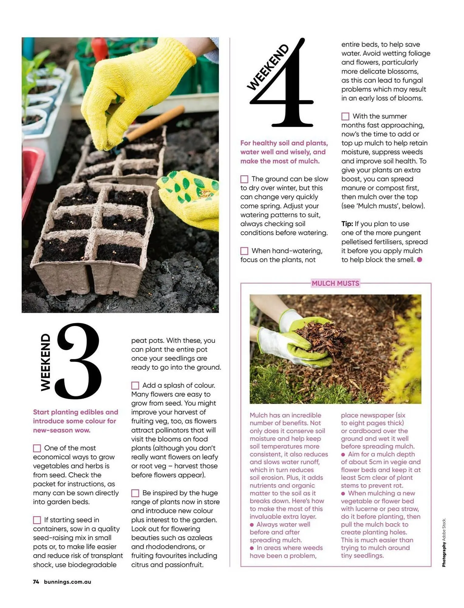 Bunnings catalogue - Catalogue valid from 1 September to 30 September 2025 - page 74