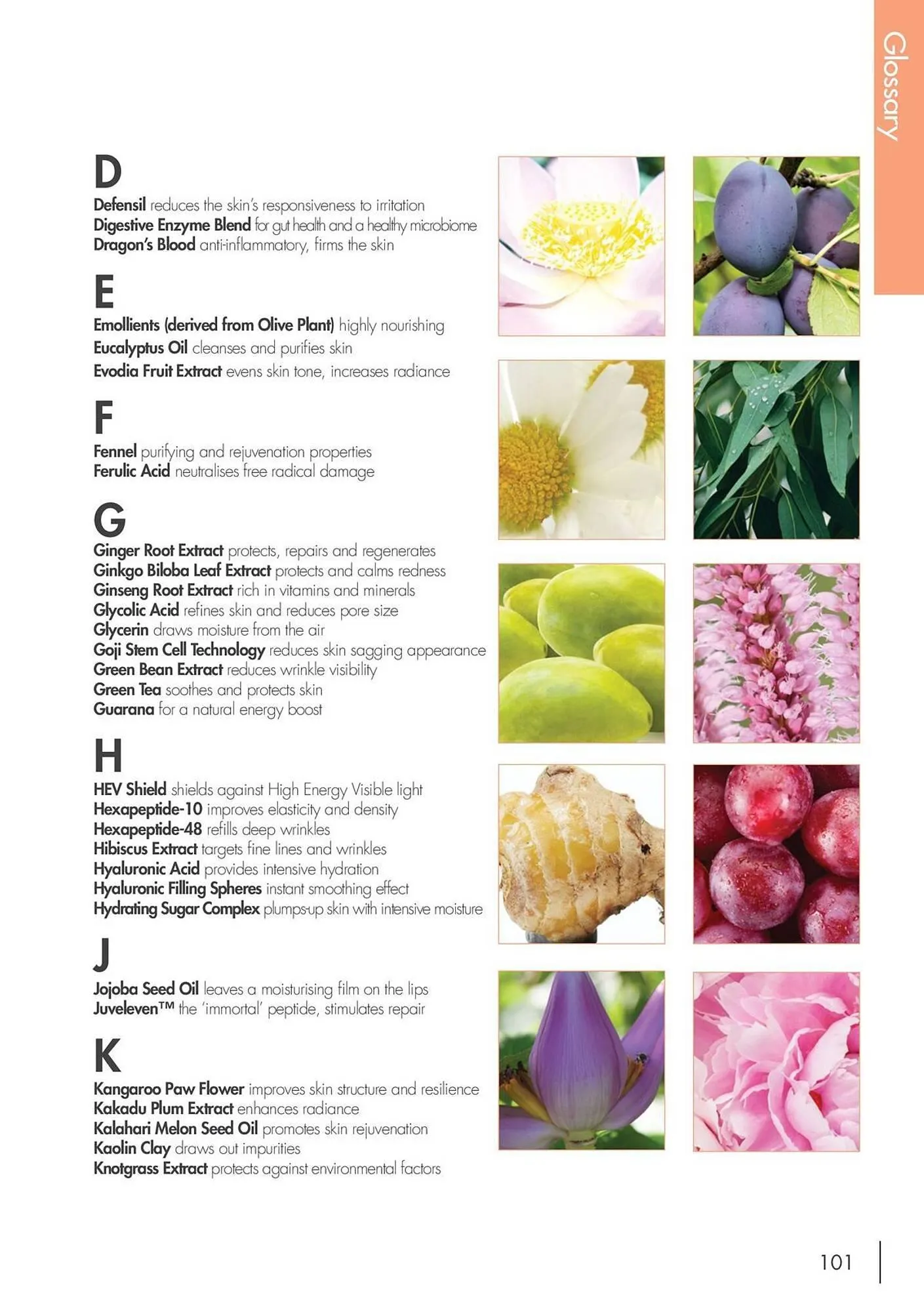 Nutrimetics catalogue - Catalogue valid from 7 August to 31 December 2025 - page 101