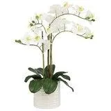 CGH Artificial Orchid With Ribbed Pot 67cm