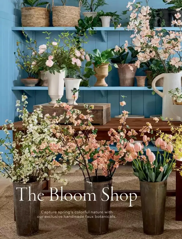 Spring 2025 from January 14 to March 14 2025 - flyer page 62