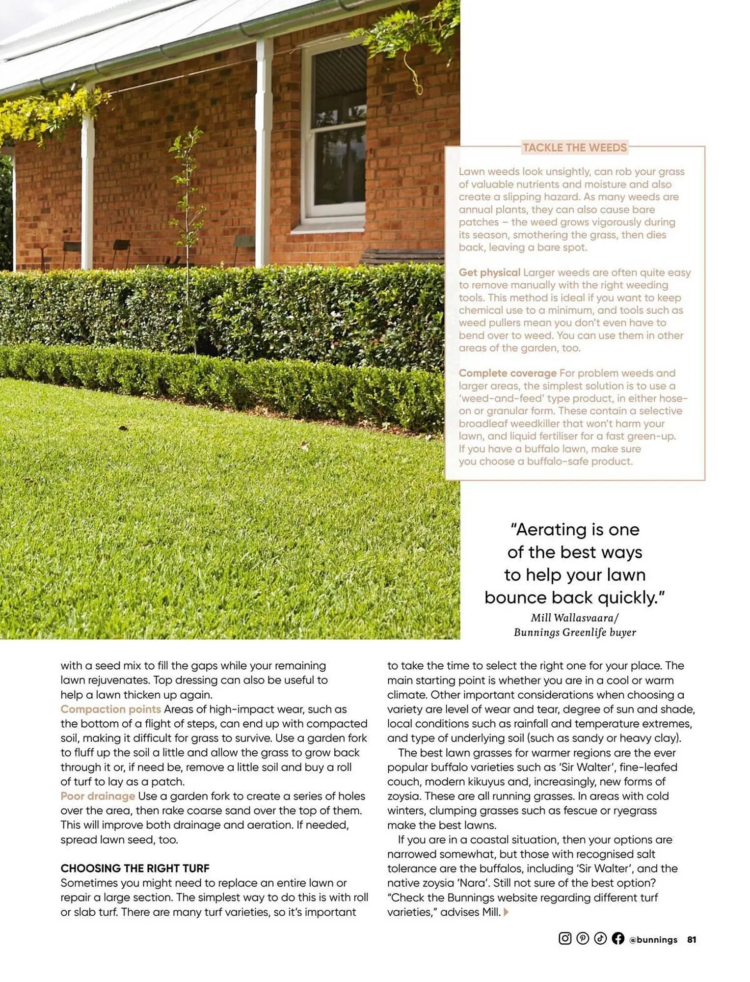 Bunnings catalogue - Catalogue valid from 1 September to 30 September 2025 - page 81