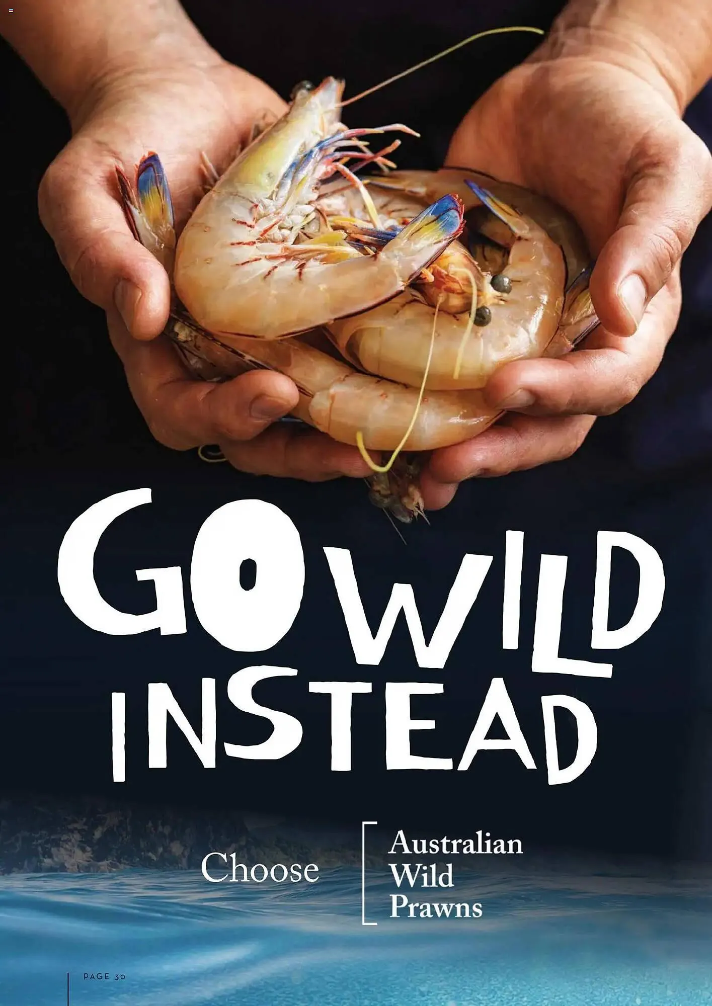 Foodworks catalogue - Catalogue valid from 5 January to 3 April 2026 - page 30