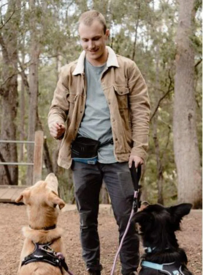 Dog Catalogue 2024 - Catalogue valid from 4 January to 31 December 2024 - page 77